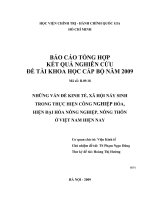 Những vấn đề kinh tế, xã hội nảy sinh trong thực hiện công nghiệp hóa, hiện đại hóa ở việt nam hiện nay