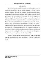 Phân tích tình hình thực hiện các chỉ tiêu chi phí, doanh thu của công ty TNHH MTV marina hải phòng