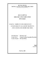 Nghiên cứu công nghệ sản xuất vật liệu micro từ cao lanh phú thọ để xử lý nước cấp dùng cho chế biến thực phẩm