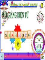 Giáo án sinh học 6 tham khảo Tiết 42 Sinh sản hữu tính ở thực vật