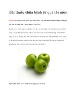 Bài thuốc chữa bệnh từ quả táo mèo doc