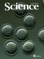 Tạp chí khoa học số  2007-01-26