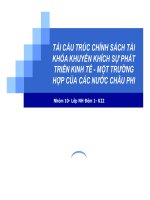 Thuyết trình tái cấu trúc chính sách tài khóa khuyến khích sự phát triển kinh tế   một trường hợp của các nước châu phi