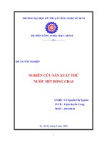 nghiên cứu sản xuất thử nước mít đóng chai