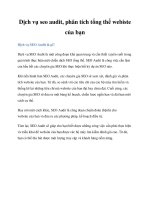 Dịch vụ seo audit, phân tích tổng thể webiste của bạn ppt