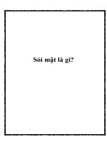 Sỏi mật là gì? pdf