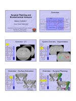 surgical planning and biomechanical analysis