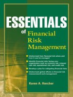 essentials of financial risk management