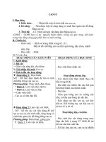 Giáo án bài Cao su - Khoa học 5 - GV:L.N.Tân