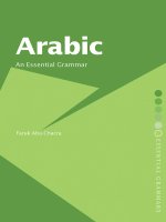  arabic an essential grammar