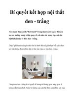 Bí quyết kết hợp nội thất đen - trắng doc