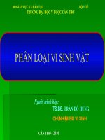 PHÂN LOẠI VI SINH VẬT doc