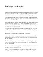 Lãnh đạo và cảm giác pot