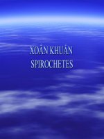XOẮN KHUẨN SPIROCHETES doc