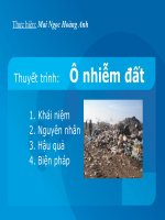 thuyết trình ô nhiễm đất