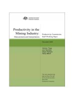 Productivity in the Mining Industry: Measurement and Interpretation pptx