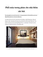 Phối màu tương phản cho nhà thêm sức hút ppt