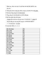 Chiến thuật thi IELTS phần reading