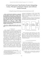 a facial expression classification system integrating