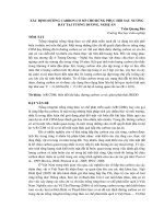 XÁC ĐỊNH ĐƯỜNG CARBON CƠ SỞ CHO RỪNG PHỤC HỒI SAU NƯƠNG RẪY TẠI TƯƠNG DƯƠNG, NGHỆ AN pot