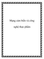 Mạng cảm biến và công nghệ thực phẩm ppt