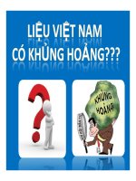 thuyết trình liệu việt nam có khủng hoảng