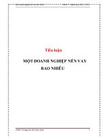 tiểu luận tài chính doanh nghiệp một doanh nghiệp nên vay bao nhiêu