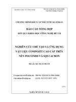 Đề tài Nghiên cứu chế tạo và ứng dụng vật liệu compozit cao cấp trên nền polymid và sợi cacbon