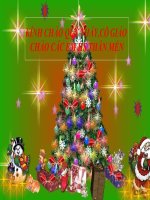 Giáo án bồi dưỡng công nghệ  lớp 7 Kỹ thuật làm đất và bón phân lót