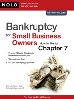 bankruptcy for small business owners, how to file for chapter 7 (2010)