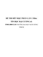 ĐỀ THI HẾT HỌC PHẦN LẦN 1 Môn: TIN HỌC ĐẠI CƯƠNG đề:IT001.0809.11.01 doc