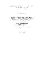 Nghiên cứu một số biến đổi gen đặc trưng và đáp ứng điều trị tấn công ở bệnh nhân lơ xê mi cấp dòng tuỷ