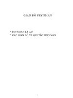 giản đồ feynman