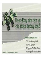 tiểu luận hoạt động rửa tiền và phòng chống rửa tiền và các thiên đường thuế