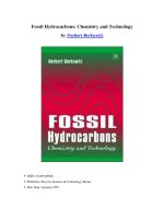 fossil hydrocarbons. chemistry and technology by n. berkowitz
