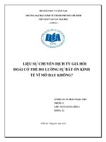 tiểu luận liệu sự chuyển dịch tỷ giá hối đoái có thể đo lường sự bất ổn kinh tế vĩ mô hay không