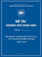 Độ Nhạy Cảm Rủi Ro Tỷ Giá Của Các Doanh Nghiệp Nội Địa Việt Nam