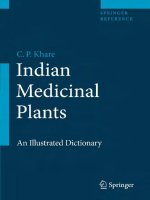 indian medicinal plants. an illustrated dictionary