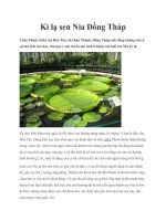 Kì lạ sen Nia Đồng Tháp pot