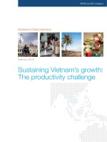 mgi sustaining growth in vietnam full report