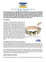 VISA - Hình thức thanh toán trên toàn cầu potx