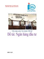 Đề tài tổng quan về ngân hàng đầu tư việt nam