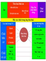 Giáo án Sinh học 8 tham khảo Tiêu hóa ở ruột non