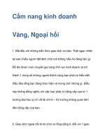 CẨM NANG KINH DOANH VÀNG, NGOẠI HỐI