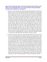 Câu hỏu pháp luật đại cương potx