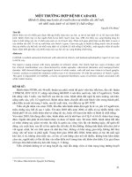 MỘT TRƯỜNG HỢP BỆNH CADASIL pdf