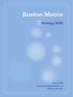 Ma Trận BCG (Boston Matrix) ppt