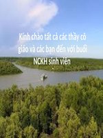 báo cáo NCKH nhóm Hải doc