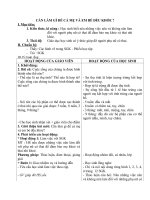 Giáo án bài Cần làm gì đề cả mẹ và bé đều khỏe - Khoa học 5 - GV:L.N.Tâ