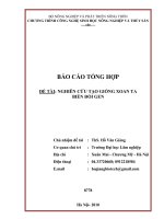 nghiên cứu tạo giống xoan ta biến đổi gen